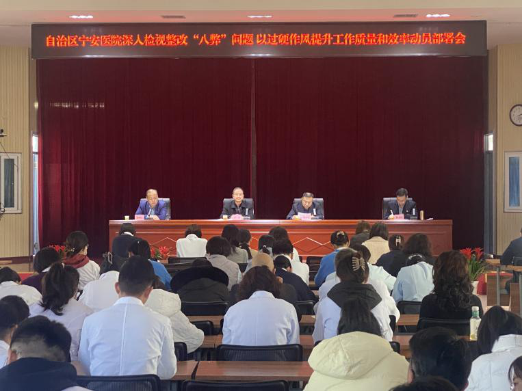 自治區寧安醫院以“五個一”為抓手開啟“八弊”問題整治整改工作
