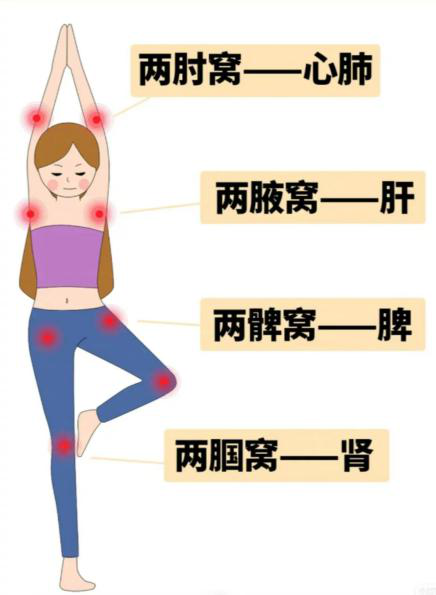 特色康復：拍八虛